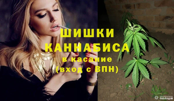 сатива Балабаново